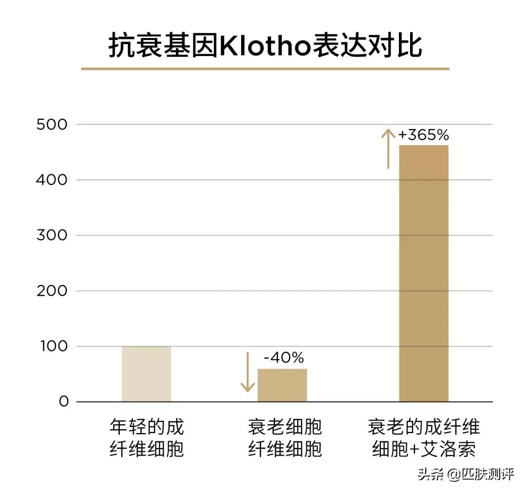 抗衰美白精华各品牌测评,防衰精华质量