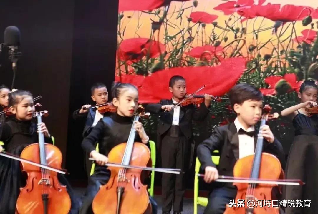 杭州民办小学学校录取结果查询,杭州西湖区民办小学报名人数