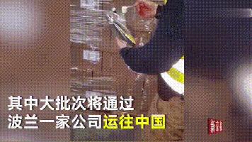 当年的毒奶粉涉及的品牌有哪些,最近曝光的毒奶粉