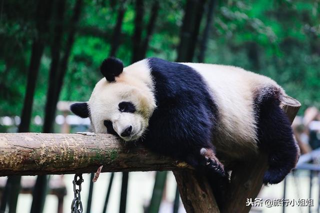 天目湖加南山竹海哪里泡温泉好,天目湖度假秘境享用绝美自然山水