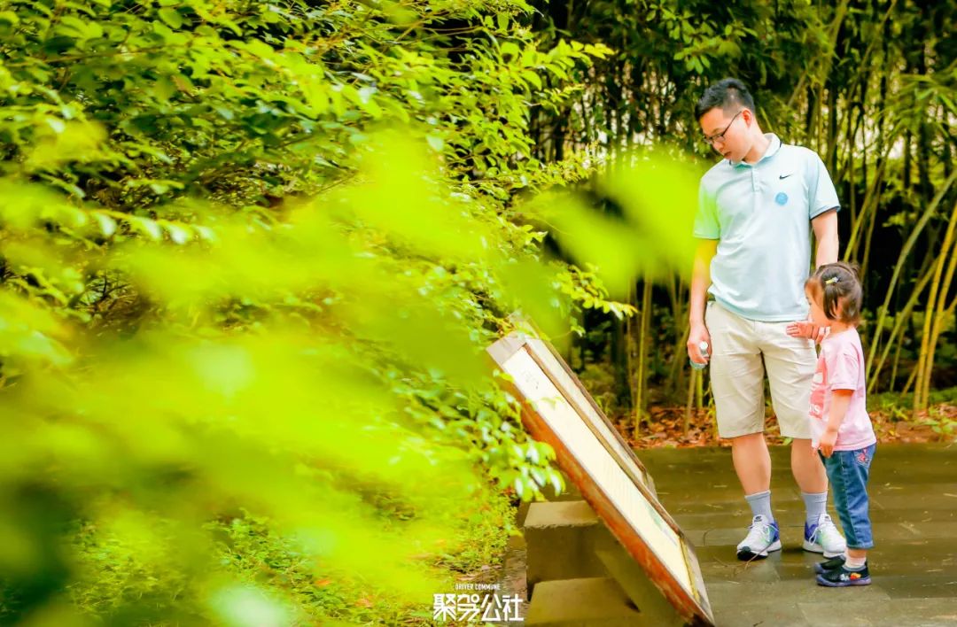 重游中国最美乡村,带你游浙江最美乡村