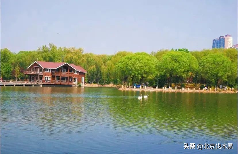 芒种旅游景点推荐,芒种至仲夏节气