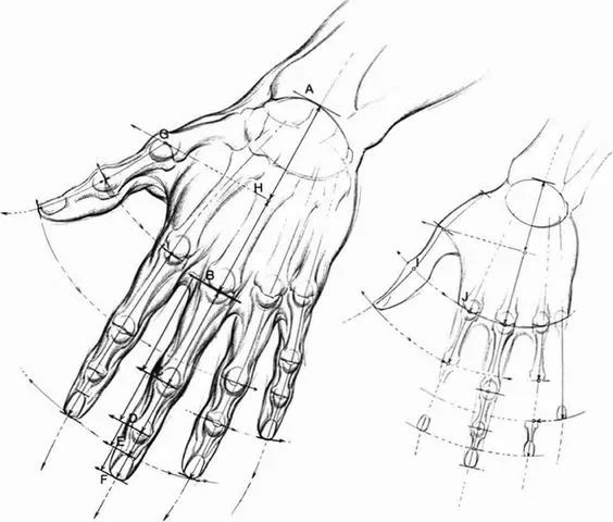 双十一要到了，这一百只手送给你们！随便“剁”！随便画