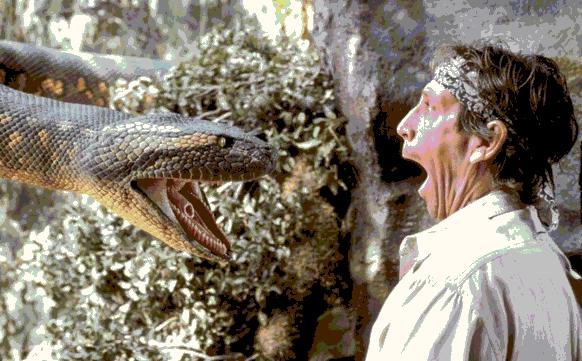 世界上最大的蛇大战豹子,世界上最大最长的眼镜王蛇响尾蛇