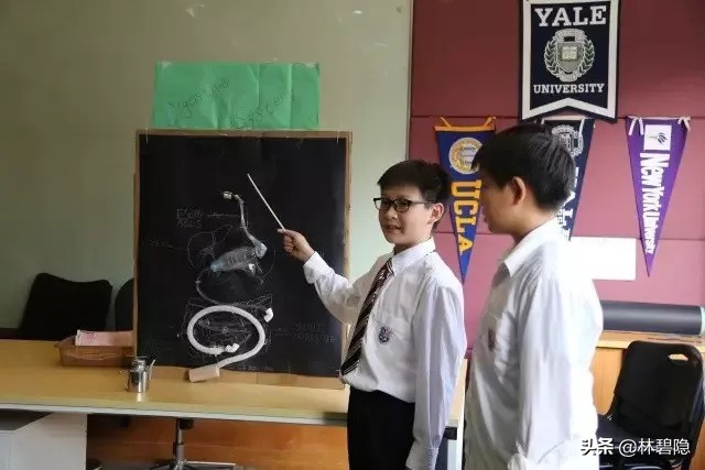 上海最贵的贵族学校,上海最贵学校排名前十