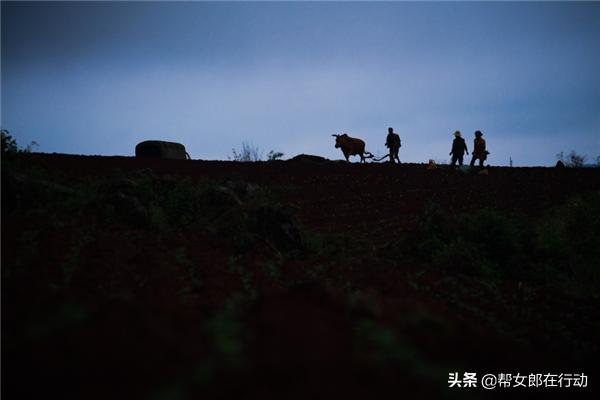 他山之石丨“拼”出新产业，小果子带来脱贫大希望，背后的故事都有啥