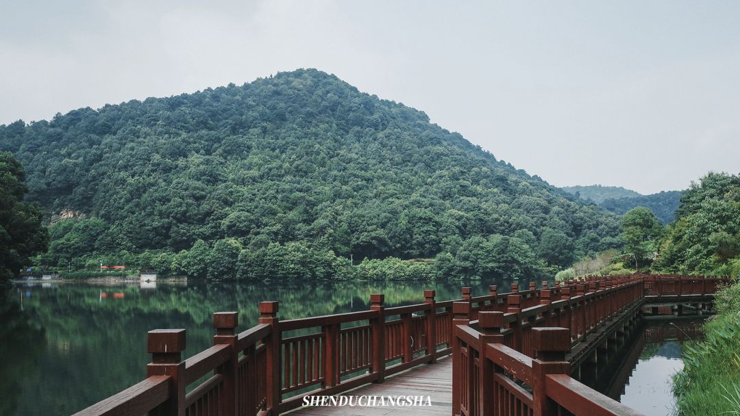 长沙旅游攻略必玩的十大景点介绍,长沙适合秋季打卡的景点
