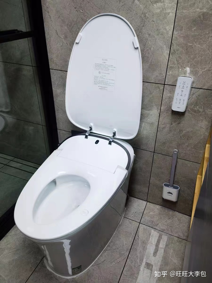 国产智能马桶推荐,国产智能马桶推荐品牌型号
