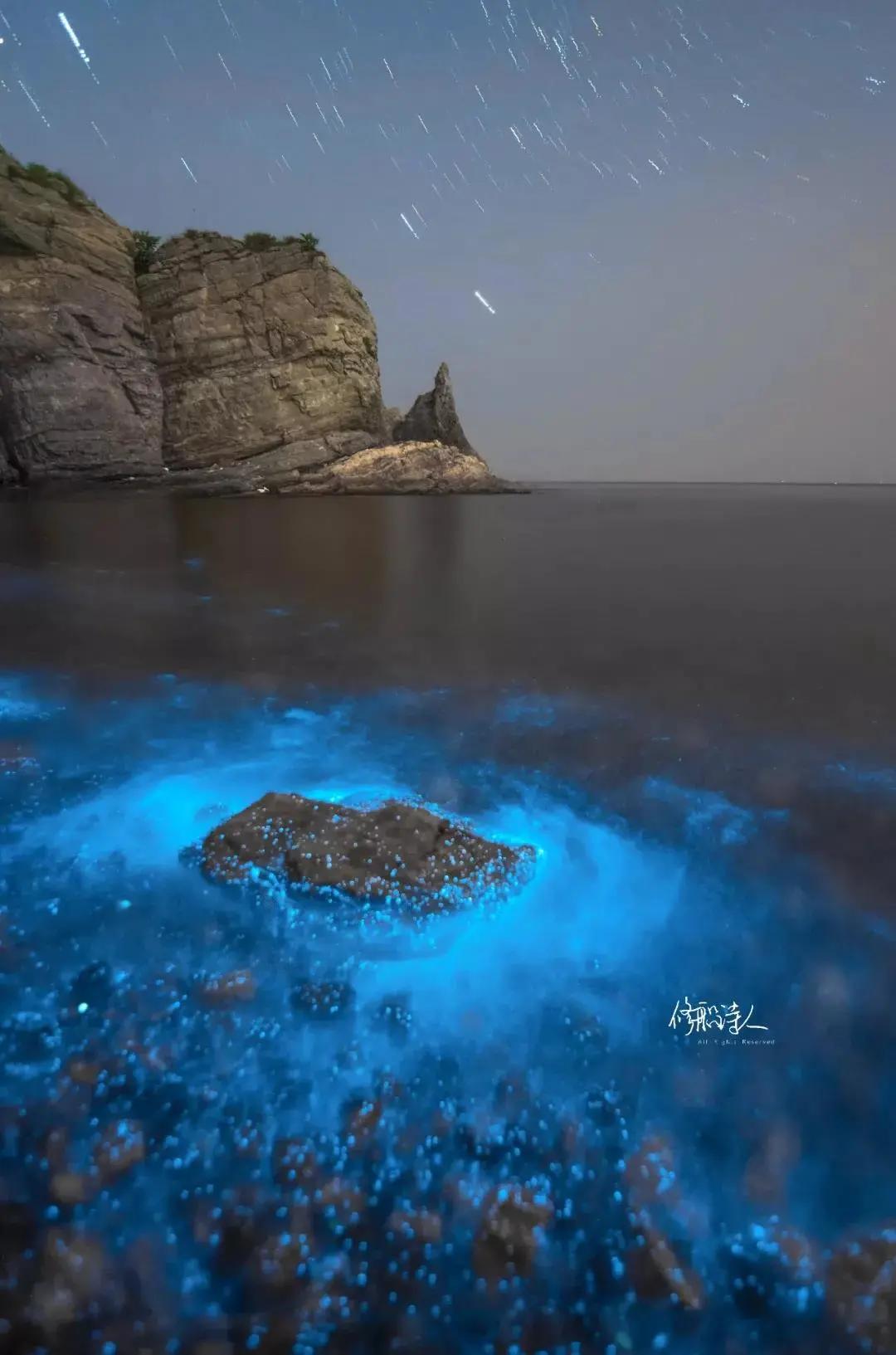 再见大连歌曲完整版,再见大连原唱完整版