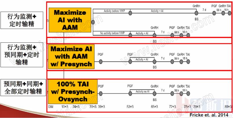 康奈尔大学干细胞研究,康奈尔大学科研