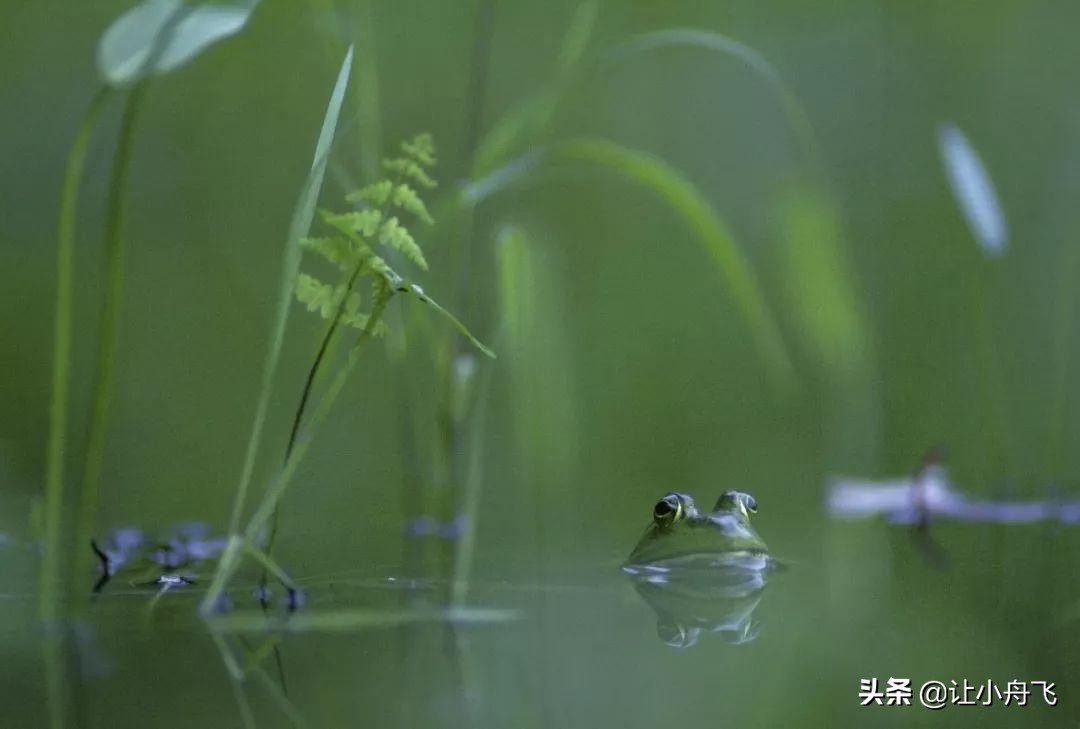 小满未满小得盈满,小满知足盈满常乐