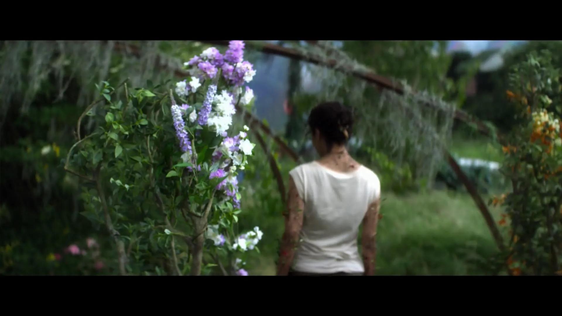 湮灭电影深度解析,湮灭电影到底湮灭了什么