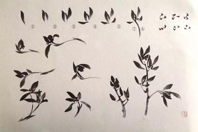 国画兰花绘画图,简单国画兰花画法教程