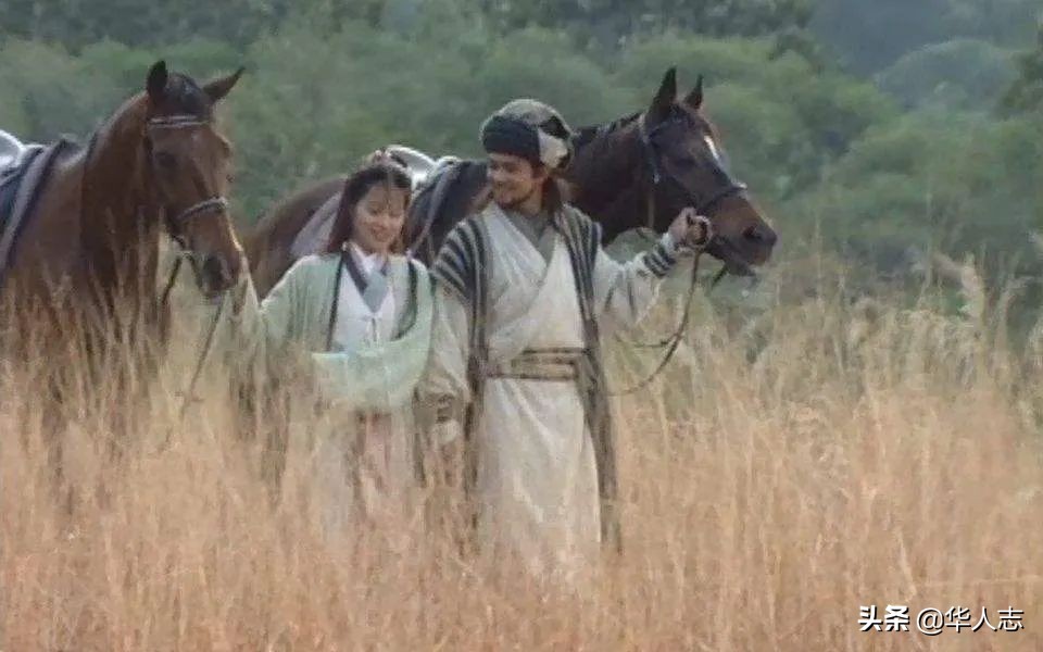 中国地主在新西兰：有人坐拥万顷良田，有人卖掉北京房，牧马放羊