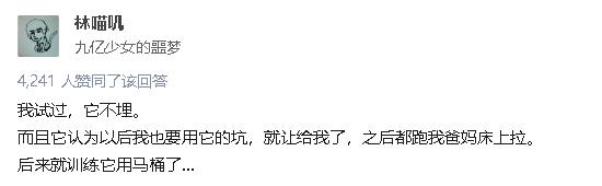 拉屎这么臭，姿势还这么骚，这些猫还真是猫界艾丽