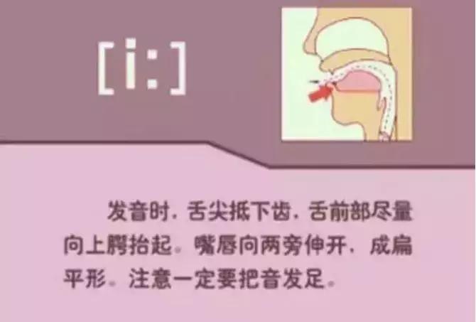 48个国际音标发音清晰口型示范,48个国际英语音标发音表及口型