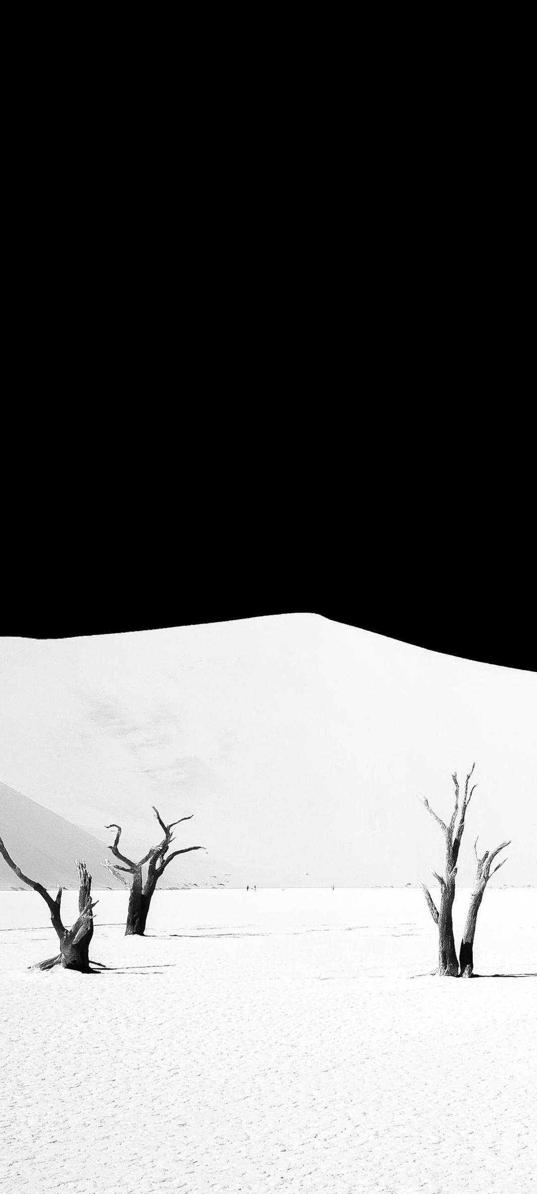 方便整顿桌面图标的壁纸,不影响电脑性能的动态壁纸