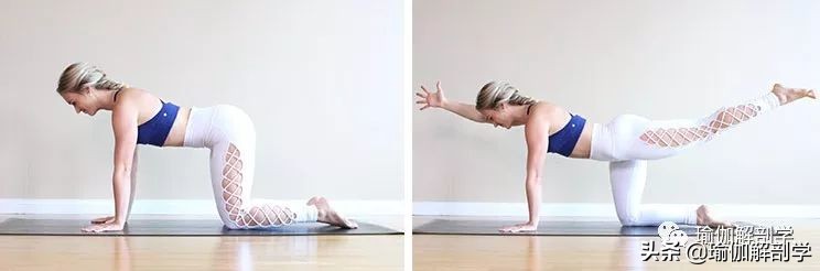 不伤腰瑜伽初级教程在家练,侧腰部练习的瑜伽初学者