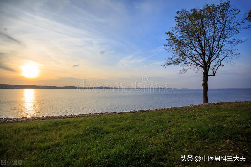 精关不守，脾胃虚弱型肾虚ED，中医如何调理？