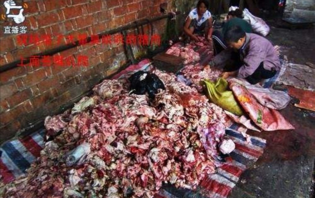 火腿肠到底能不能吃？有什么坏处？