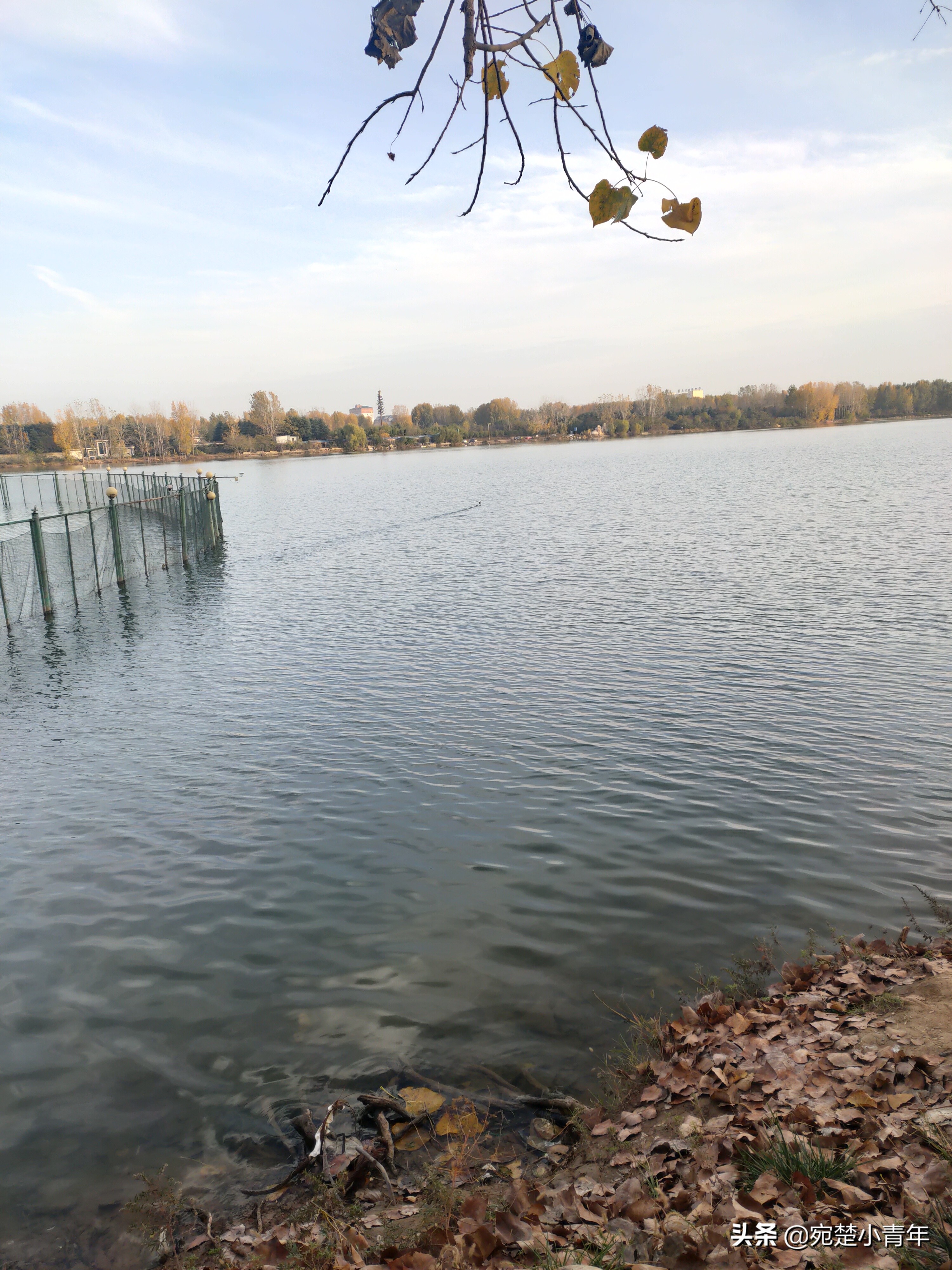 错过遗憾一辈子，大美南阳之秋：黄叶满地天湛蓝