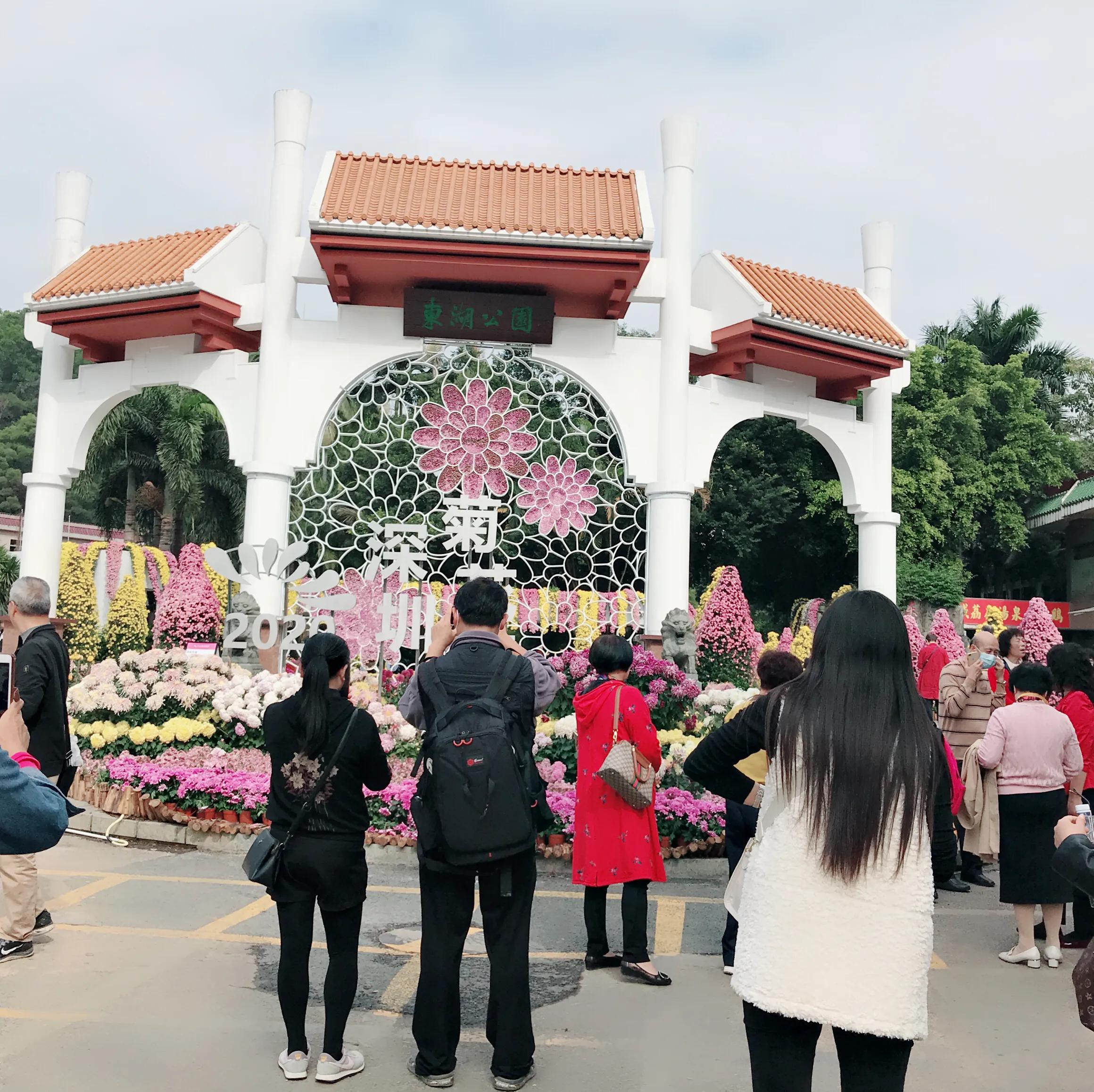 閬涘▋濂藉幓澶勮強鑺卞睍,娣卞湷閬涘▋鐪嬪睍