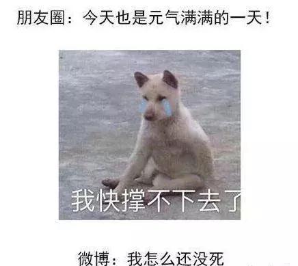 微信设置一个月可见还是半年可见,微信怎么开三个月可见