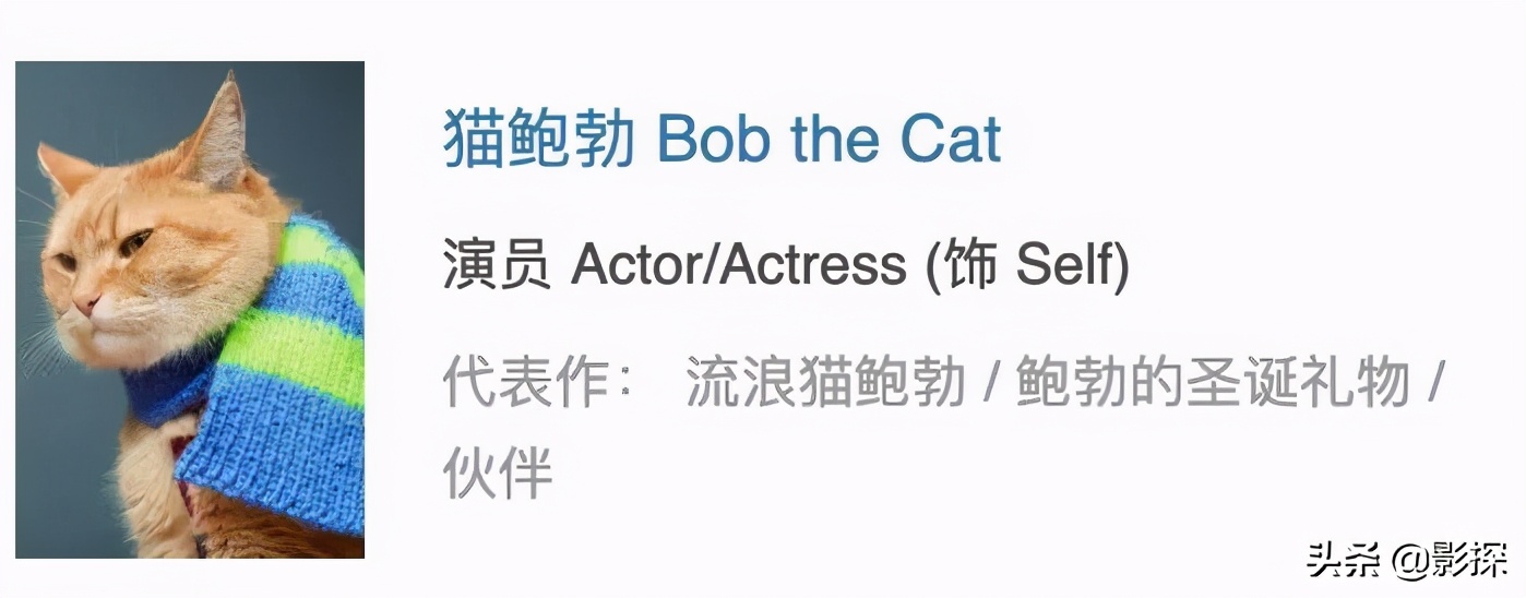 绁ㄦ埧榛戦┈鐩樼偣,绁ㄦ埧榛戦┈鍗囩骇鍥炲綊