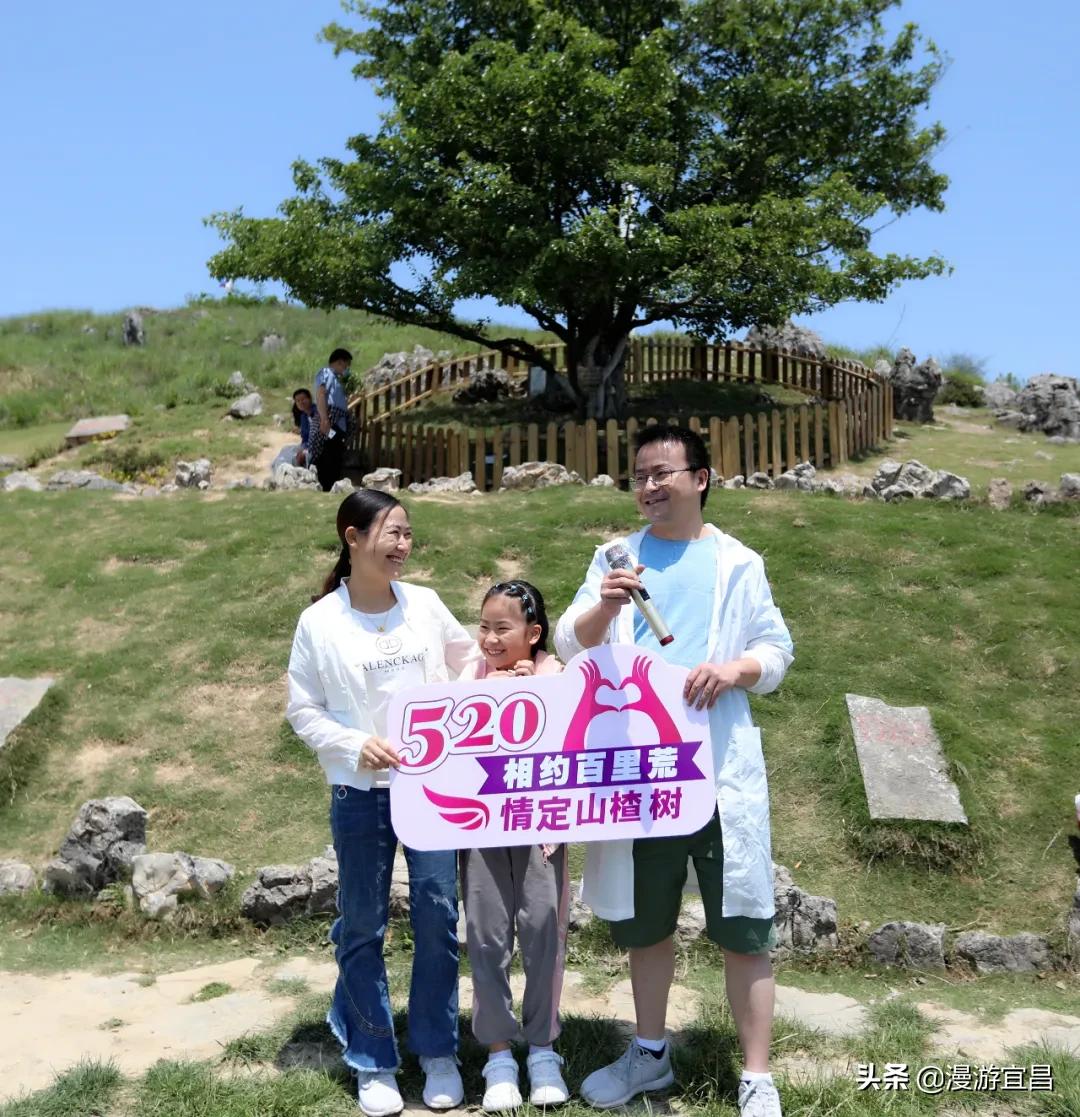 520深情的告白,520告白愿世间美好与你们环环相扣