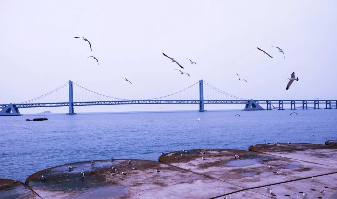 美过三亚浪漫过厦门的海滨老城,青岛和厦门海边哪个值得去旅游