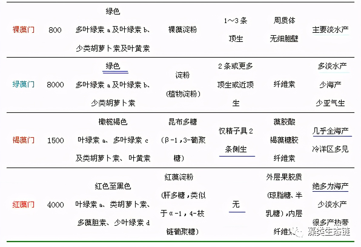 藻类培养课程视频教程,海南藻类生态链