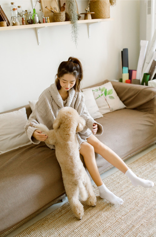 摄影教程30天0基础变身摄影达人,超全的摄影干货