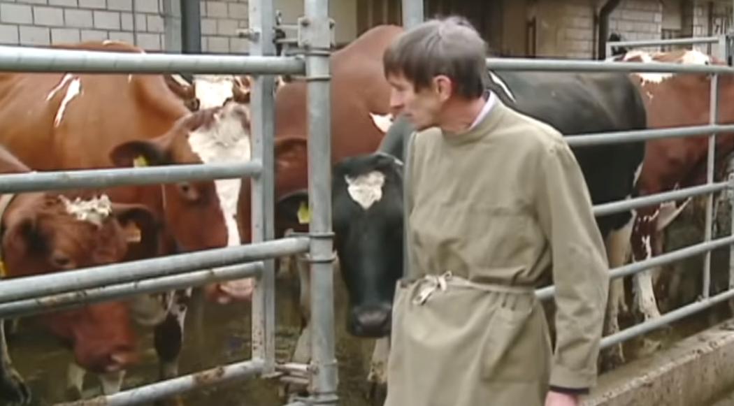 给牛身上开洞,牛身上的洞是怎样开的