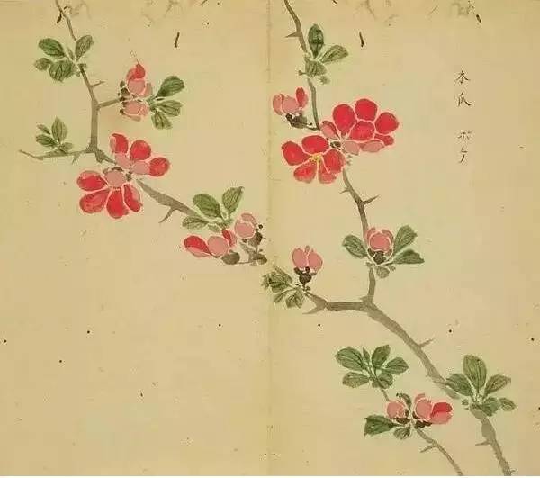 五千年来最美的20首诗,100首美到窒息的诗句