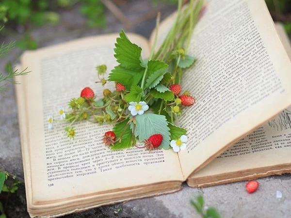 似水流年青春记忆,似水流年的青春原唱