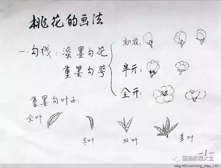 工笔画花鸟入门教程步骤图,国画教学工笔花鸟燕子的重彩画法