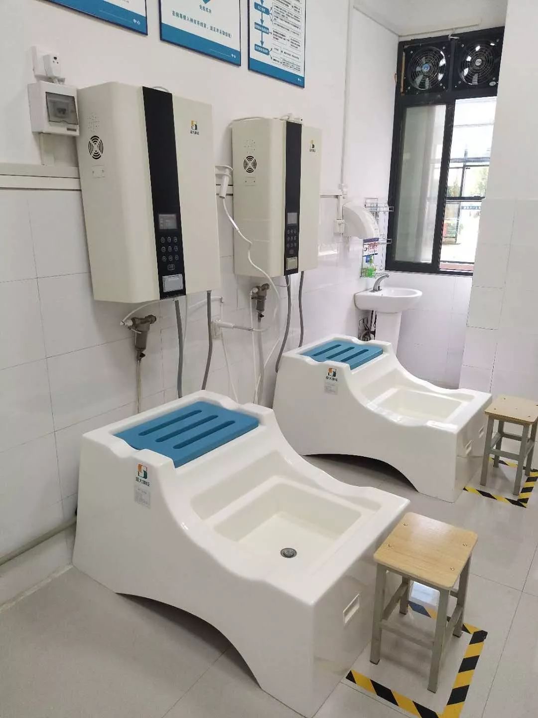 狗狗被眼镜蛇咬了怎么救治,狗狗被蛇咬伤后24小时后还会死吗