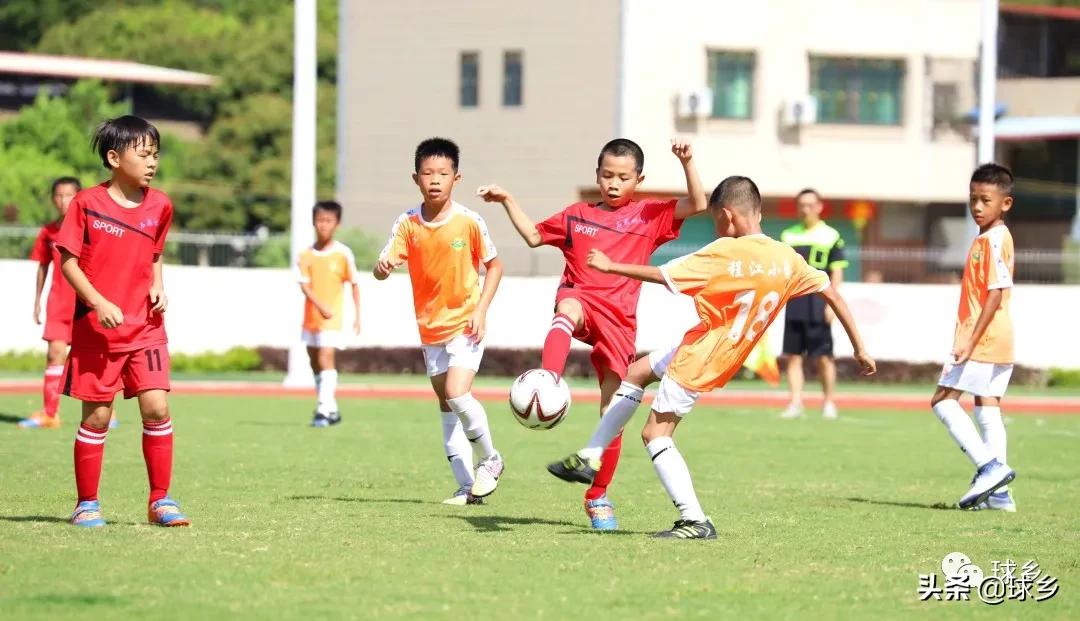 区中小学足球联赛,体教融合杯中学篮球赛