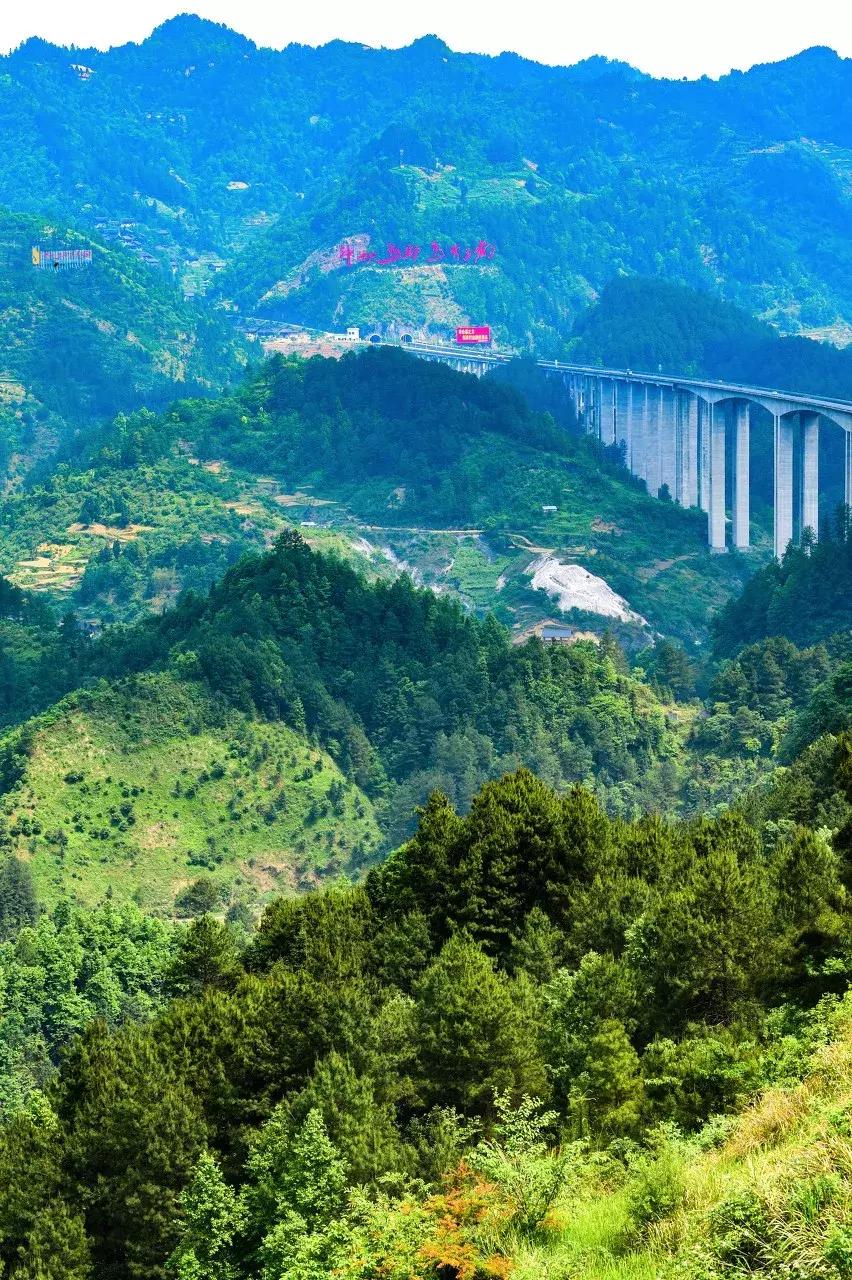 全国最宝藏的省,中国宝藏最多的省份