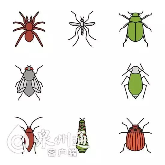 各种各样的毒虫被咬了怎么办,十大毒虫咬了有什么症状