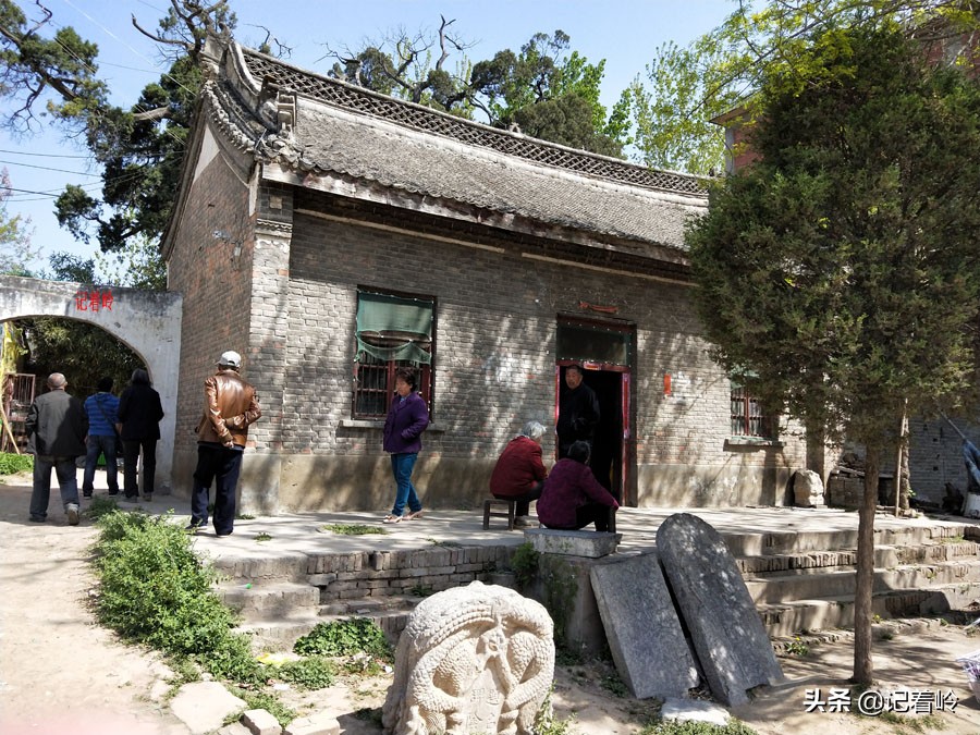 建安区一破庙中，两棵古柏相伴相生两千年，堪称模范夫妻