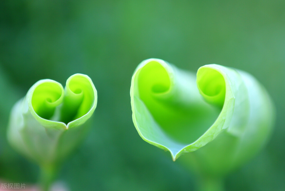 都市重生贴近现实类的小说,5本高人气都市重生小说推荐