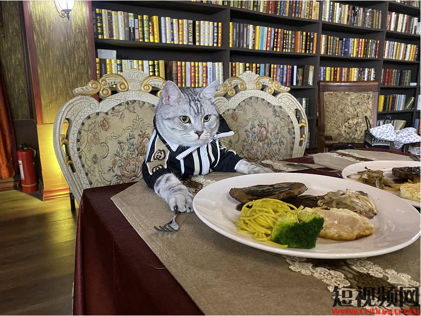 怎么做火一个抖音账号,怎么样把一个抖音账号火起来