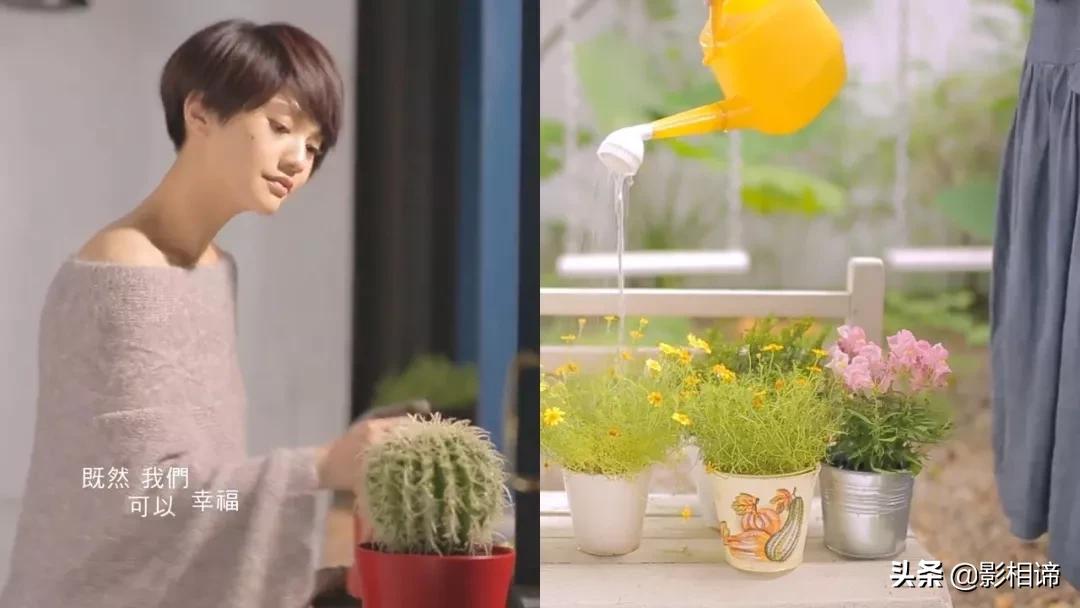 合照干货小技巧,不出门的日子也能精彩