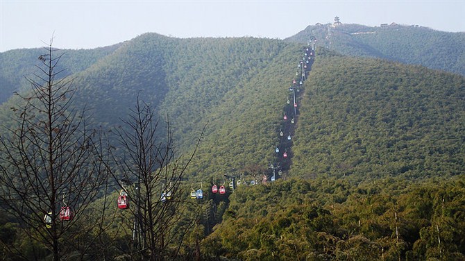 南京竹海宜兴竹海,宜兴华东第一竹海