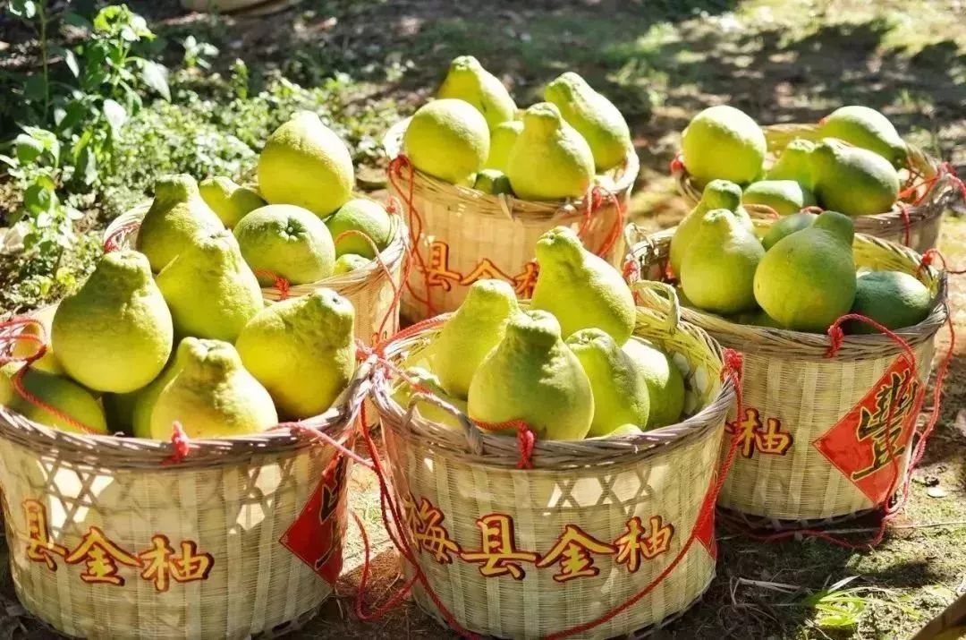 广东省哪个城市是潮汕人最多的,广州市哪个地方潮汕人最多