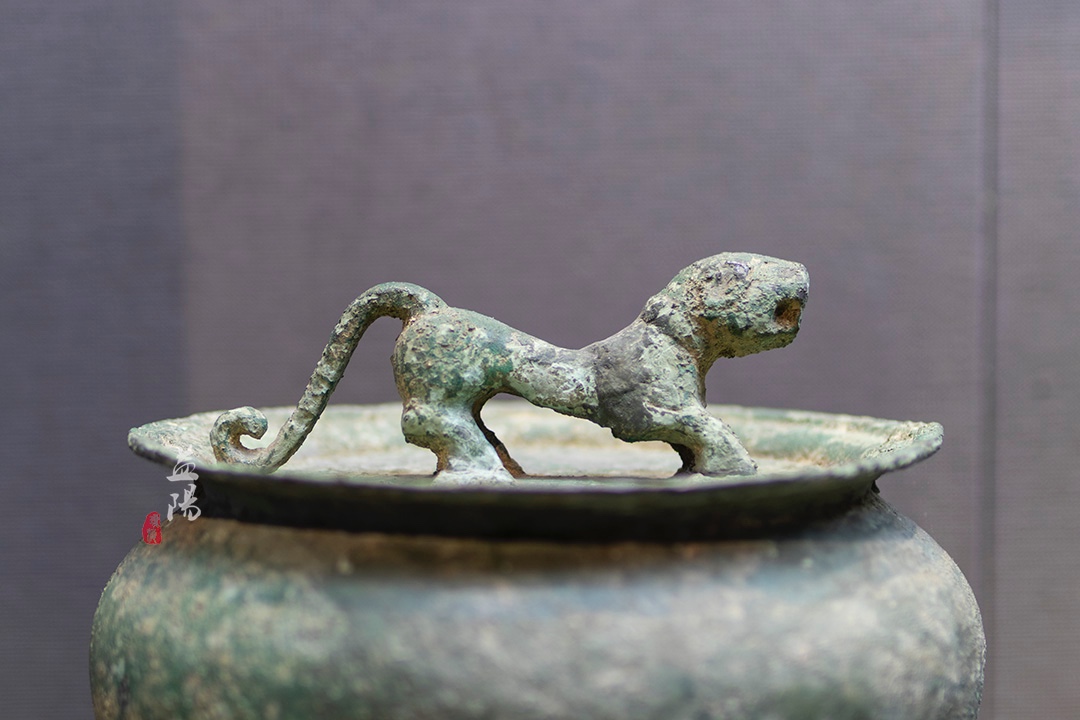 中国黑茶博物馆吉尼斯纪录,世界茶王黑茶