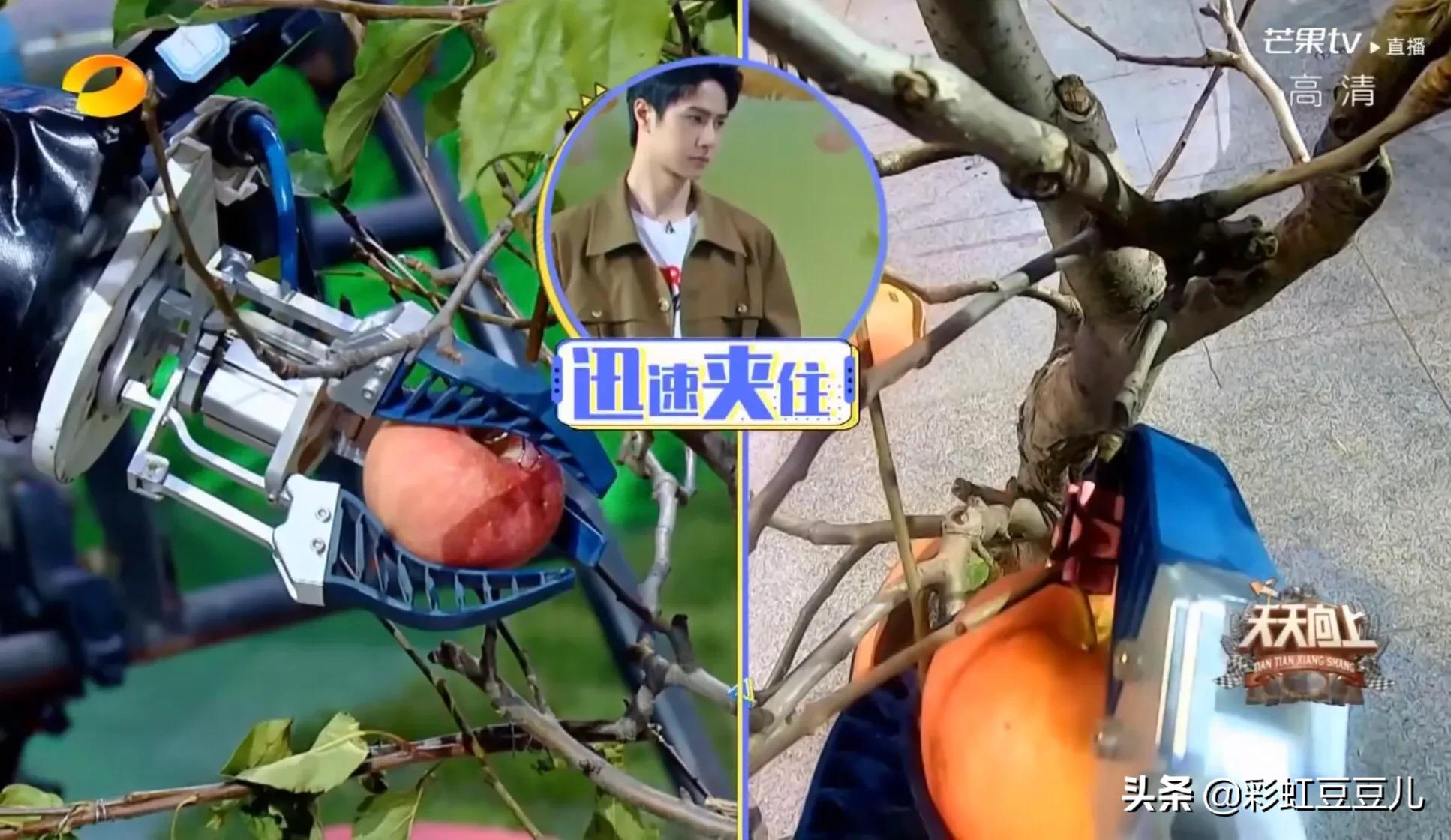 王一博谈妈粉,王一博说妈粉的视频