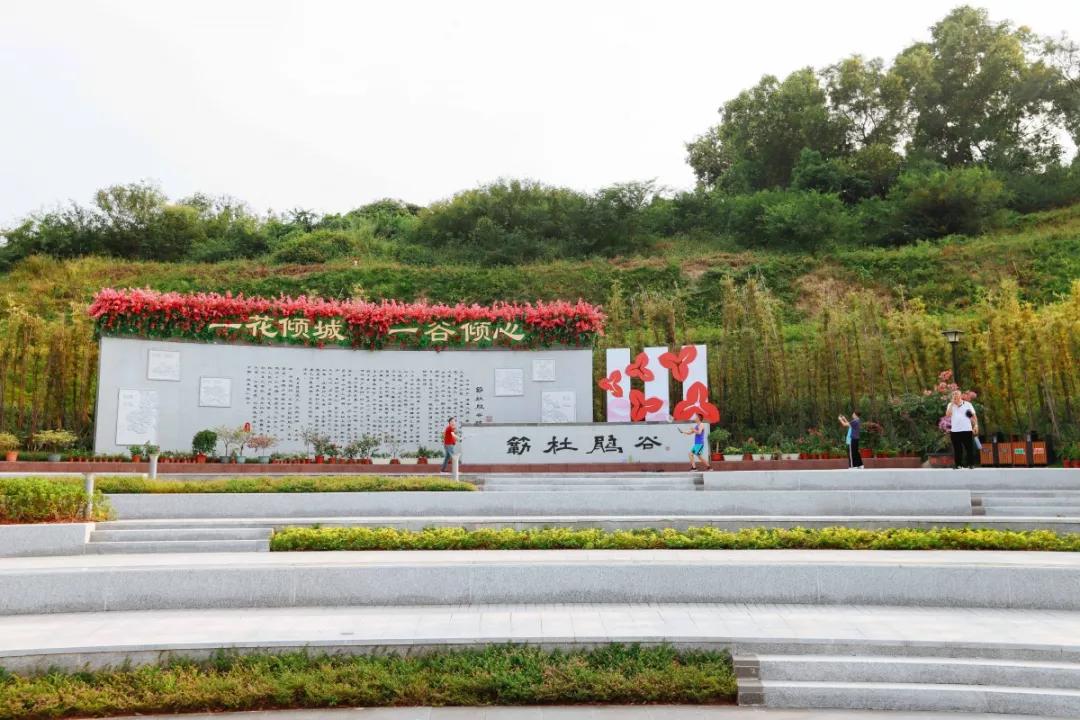 簕竹杜鹃谷公园,好看的杜鹃谷公园