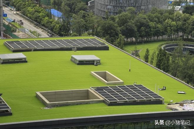 屋顶人工草坪的价格,绿化人工草坪怎么铺设